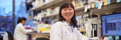 Physician-scientist and soft tissue sarcoma expert Ping Chi