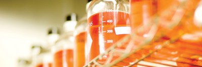 Bottles filled with liquid