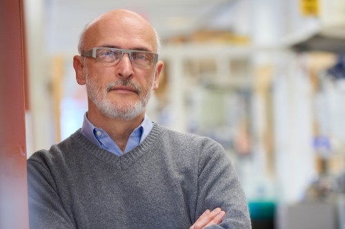 Pictured: Alexander Rudensky