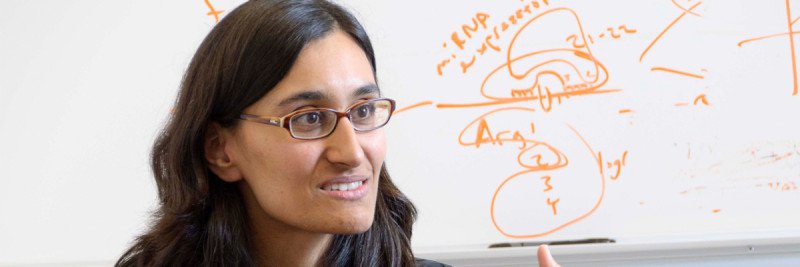 Meet our researchers