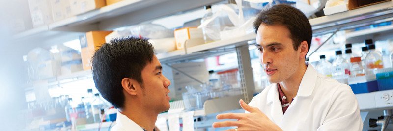 Two researchers talking in the laboratory